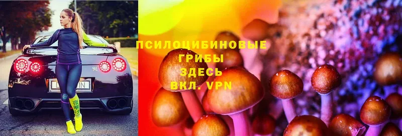 Псилоцибиновые грибы MAGIC MUSHROOMS  где можно купить   Алейск 